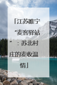 江苏睢宁“麦客驿站”：苏北村庄的麦收温情