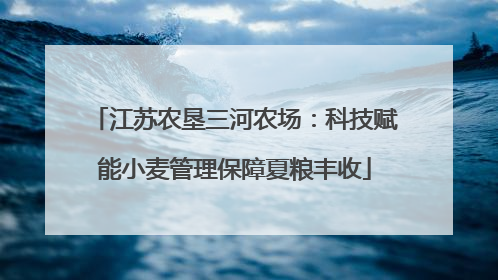 江苏农垦三河农场：科技赋能小麦管理保障夏粮丰收
