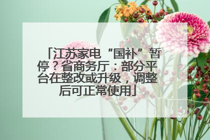 江苏家电“国补”暂停？省商务厅：部分平台在整改或升级，调整后可正常使用