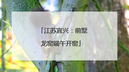 江苏宜兴：前墅龙窑端午开窑