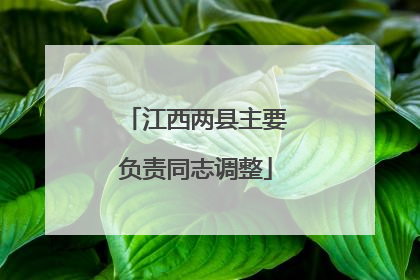 江西两县主要负责同志调整
