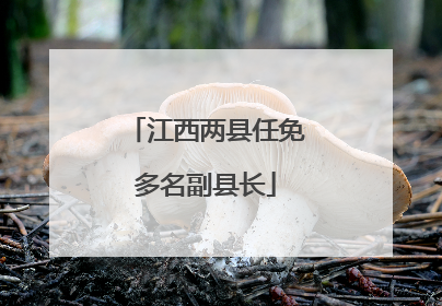 江西两县任免多名副县长