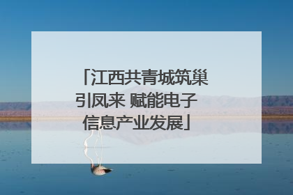 江西共青城筑巢引凤来 赋能电子信息产业发展