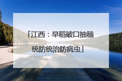 江西：早稻破口抽穗 统防统治防病虫