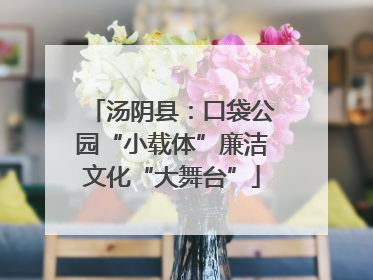 汤阴县：口袋公园“小载体”廉洁文化“大舞台”