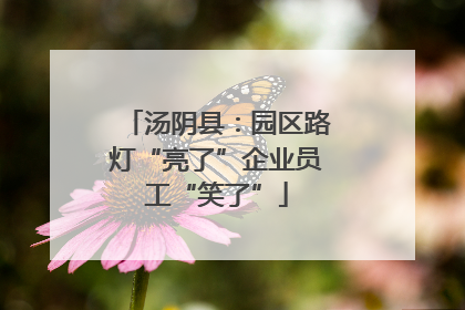 汤阴县：园区路灯“亮了”企业员工“笑了”