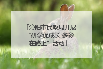 沁阳市民政局开展“研学促成长 多彩在路上”活动