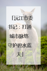 沅江市委书记：打通城市脉络 守护碧水蓝天