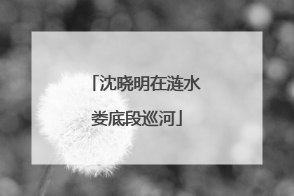 沈晓明在涟水娄底段巡河
