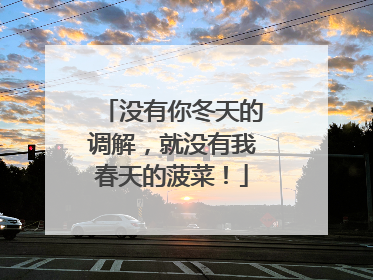 没有你冬天的调解，就没有我春天的菠菜！