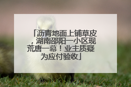 沥青地面上铺草皮，湖南邵阳一小区现荒唐一幕！业主质疑为应付验收