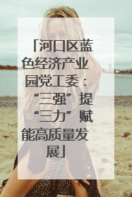 河口区蓝色经济产业园党工委：“三强”提“三力”赋能高质量发展