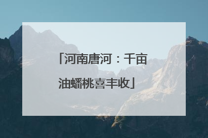 河南唐河：千亩油蟠桃喜丰收