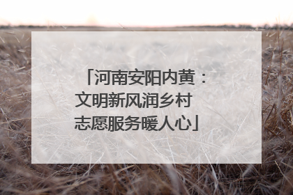 河南安阳内黄：文明新风润乡村 志愿服务暖人心