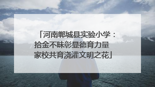 河南郸城县实验小学：拾金不昧彰显德育力量 家校共育浇灌文明之花
