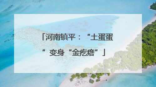 河南镇平：“土蛋蛋”变身“金疙瘩”