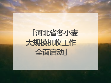 河北省冬小麦大规模机收工作全面启动
