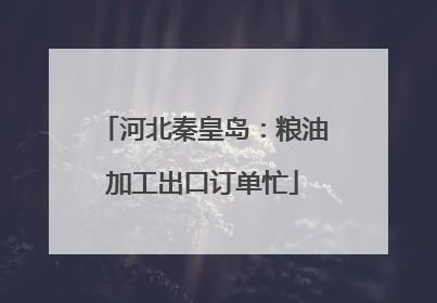 河北秦皇岛：粮油加工出口订单忙