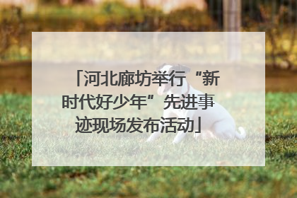 河北廊坊举行“新时代好少年”先进事迹现场发布活动