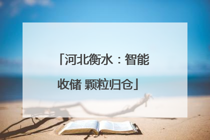 河北衡水：智能收储 颗粒归仓