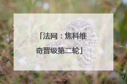 法网：焦科维奇晋级第二轮
