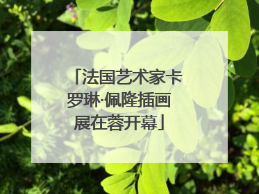 法国艺术家卡罗琳·佩隆插画展在蓉开幕