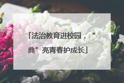 法治教育进校园，“典”亮青春护成长