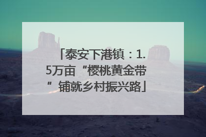 泰安下港镇：1.5万亩“樱桃黄金带”铺就乡村振兴路