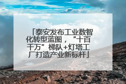 泰安发布工业数智化转型蓝图，“十百千万”梯队+灯塔工厂打造产业新标杆