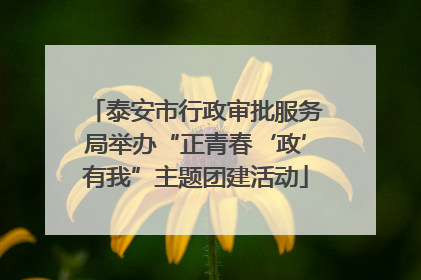 泰安市行政审批服务局举办“正青春‘政’有我”主题团建活动
