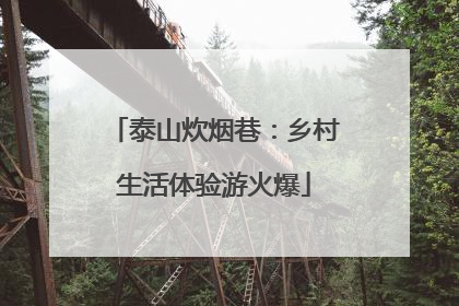 泰山炊烟巷：乡村生活体验游火爆