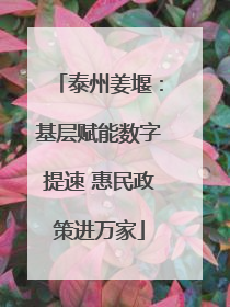 泰州姜堰：基层赋能数字提速 惠民政策进万家