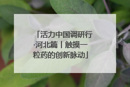 活力中国调研行·河北篇丨触摸一粒药的创新脉动