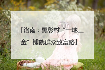 洛南：黑彰村“一地三金”铺就群众致富路