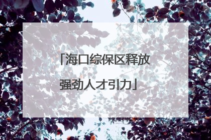 海口综保区释放强劲人才引力