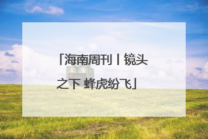海南周刊丨镜头之下 蜂虎纷飞
