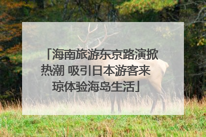海南旅游东京路演掀热潮 吸引日本游客来琼体验海岛生活