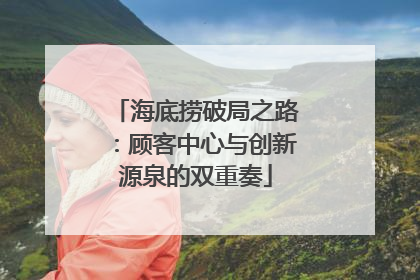 海底捞破局之路：顾客中心与创新源泉的双重奏