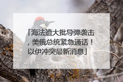 海法遭大批导弹袭击，美俄总统紧急通话！以伊冲突最新消息