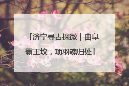 济宁寻古探微｜曲阜霸王坟，项羽魂归处
