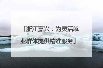 浙江嘉兴：为灵活就业群体提供精准服务