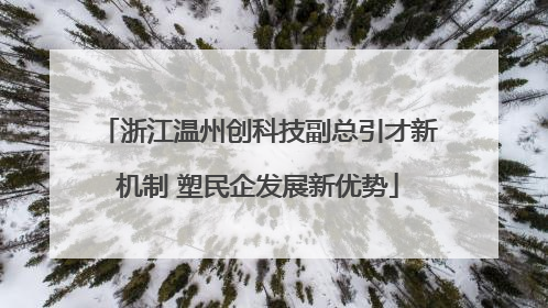 浙江温州创科技副总引才新机制 塑民企发展新优势