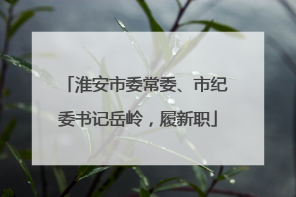 淮安市委常委、市纪委书记岳岭，履新职