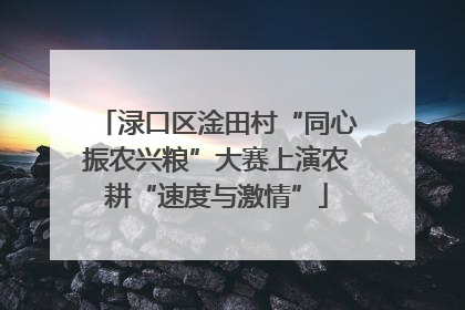 渌口区淦田村“同心振农兴粮”大赛上演农耕“速度与激情”