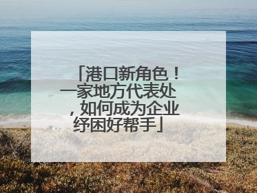 港口新角色！一家地方代表处，如何成为企业纾困好帮手