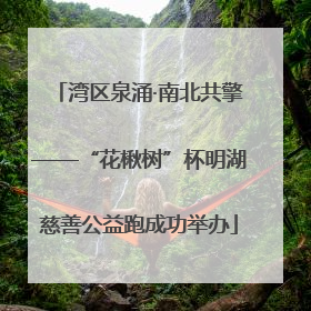 湾区泉涌·南北共擎——“花楸树”杯明湖慈善公益跑成功举办
