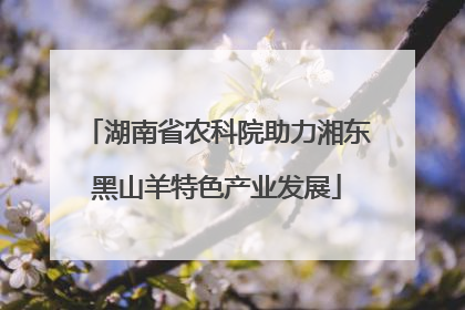 湖南省农科院助力湘东黑山羊特色产业发展