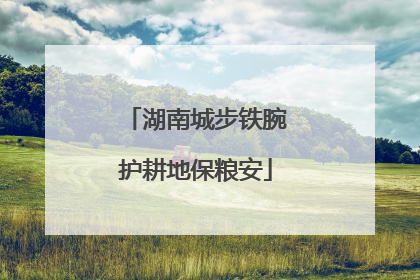 湖南城步铁腕护耕地保粮安