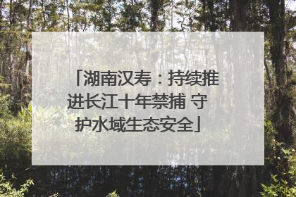 湖南汉寿：持续推进长江十年禁捕 守护水域生态安全