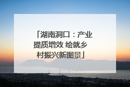 湖南洞口：产业提质增效 绘就乡村振兴新图景
